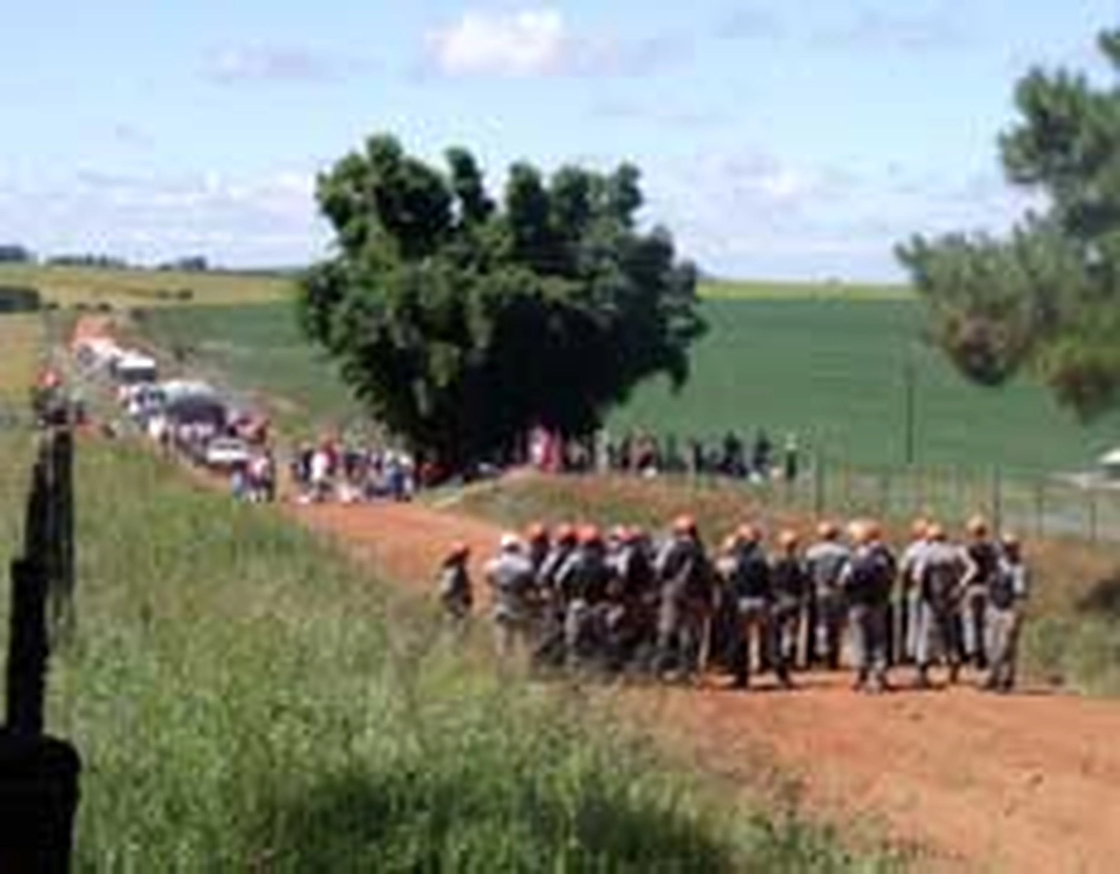 Lúcio Steiner, Especial/null