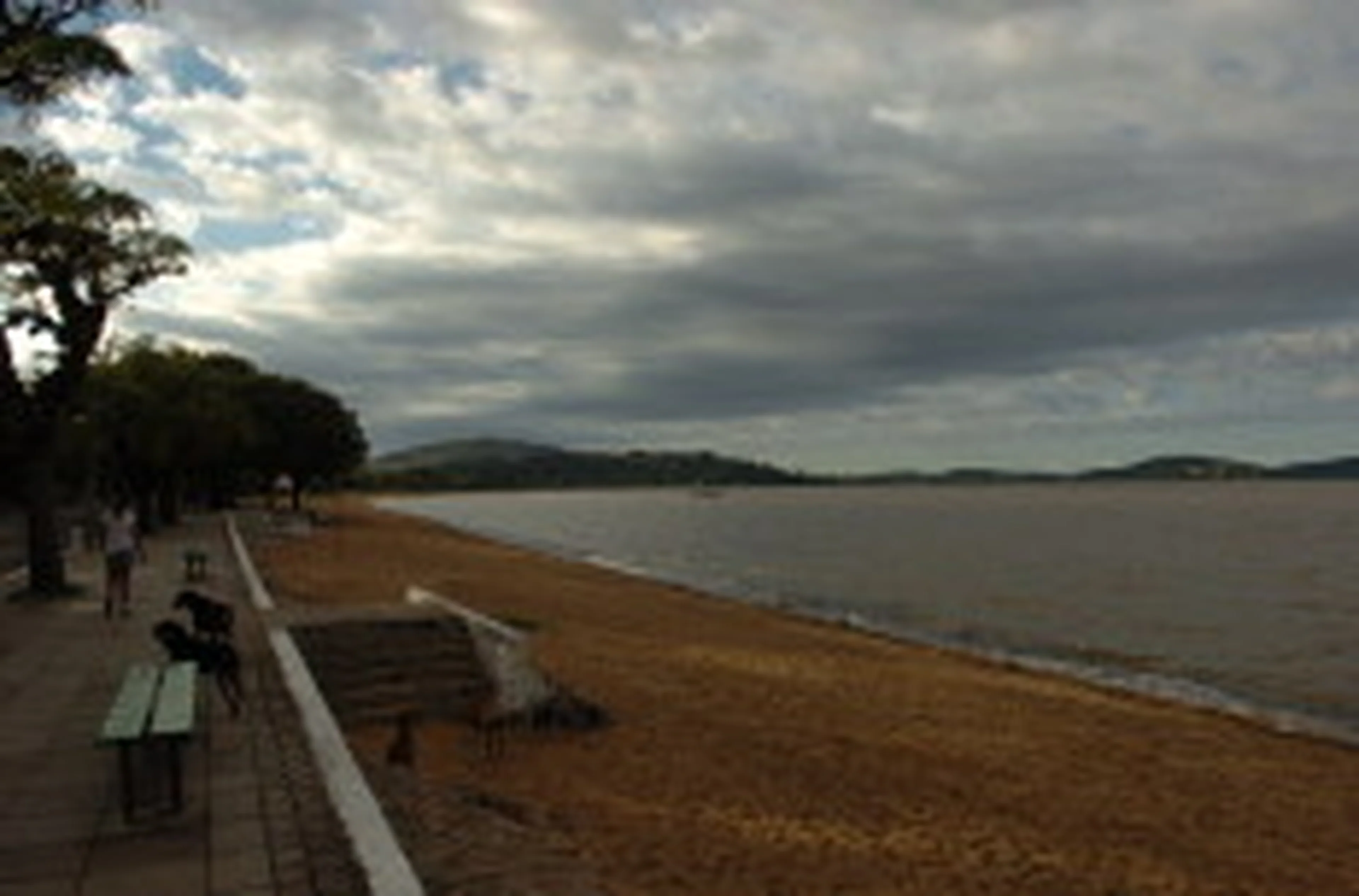 Ronaldo Bernardi/null