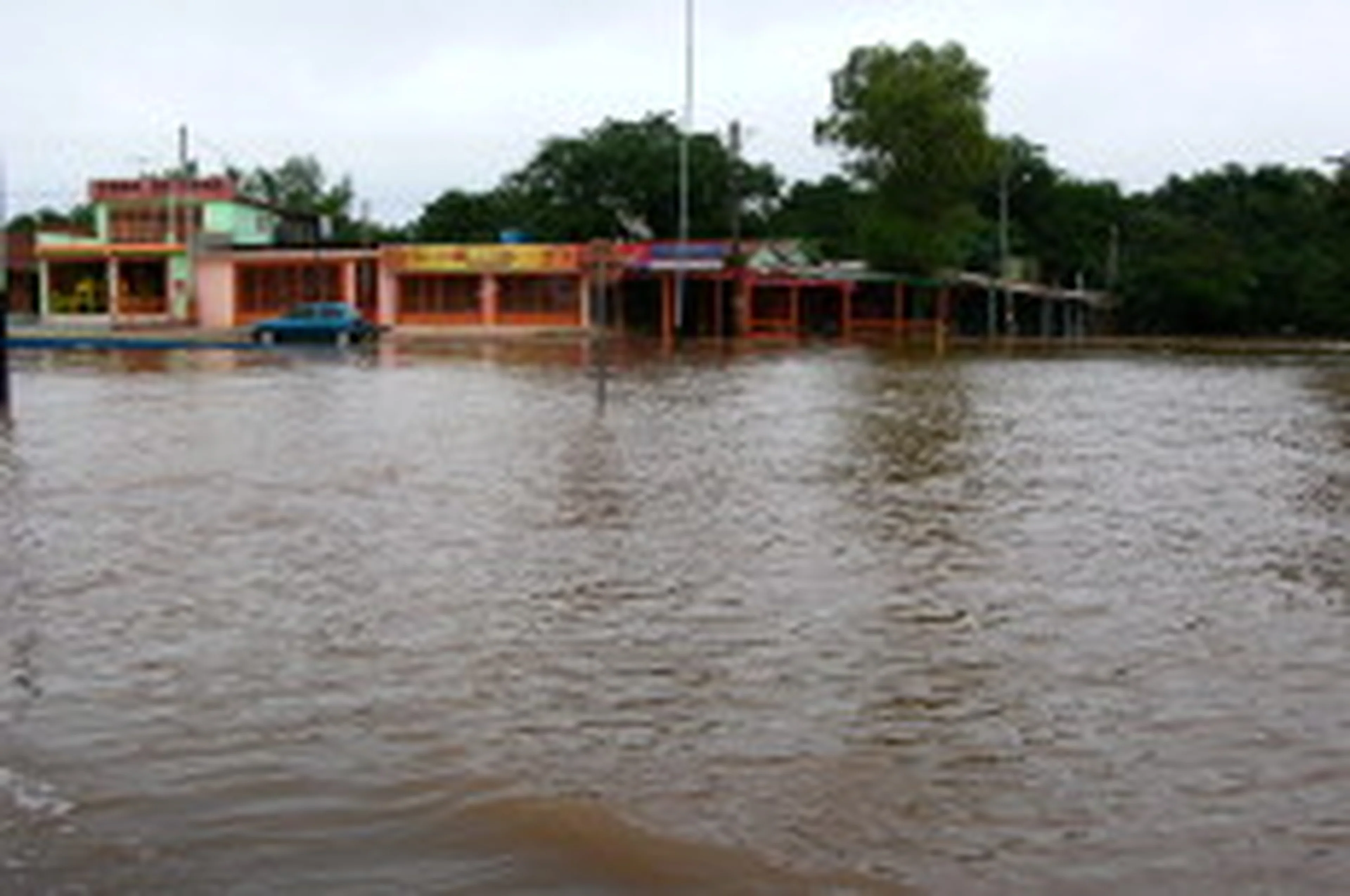 CLAUDIO GOTTFRIED, Especial/null