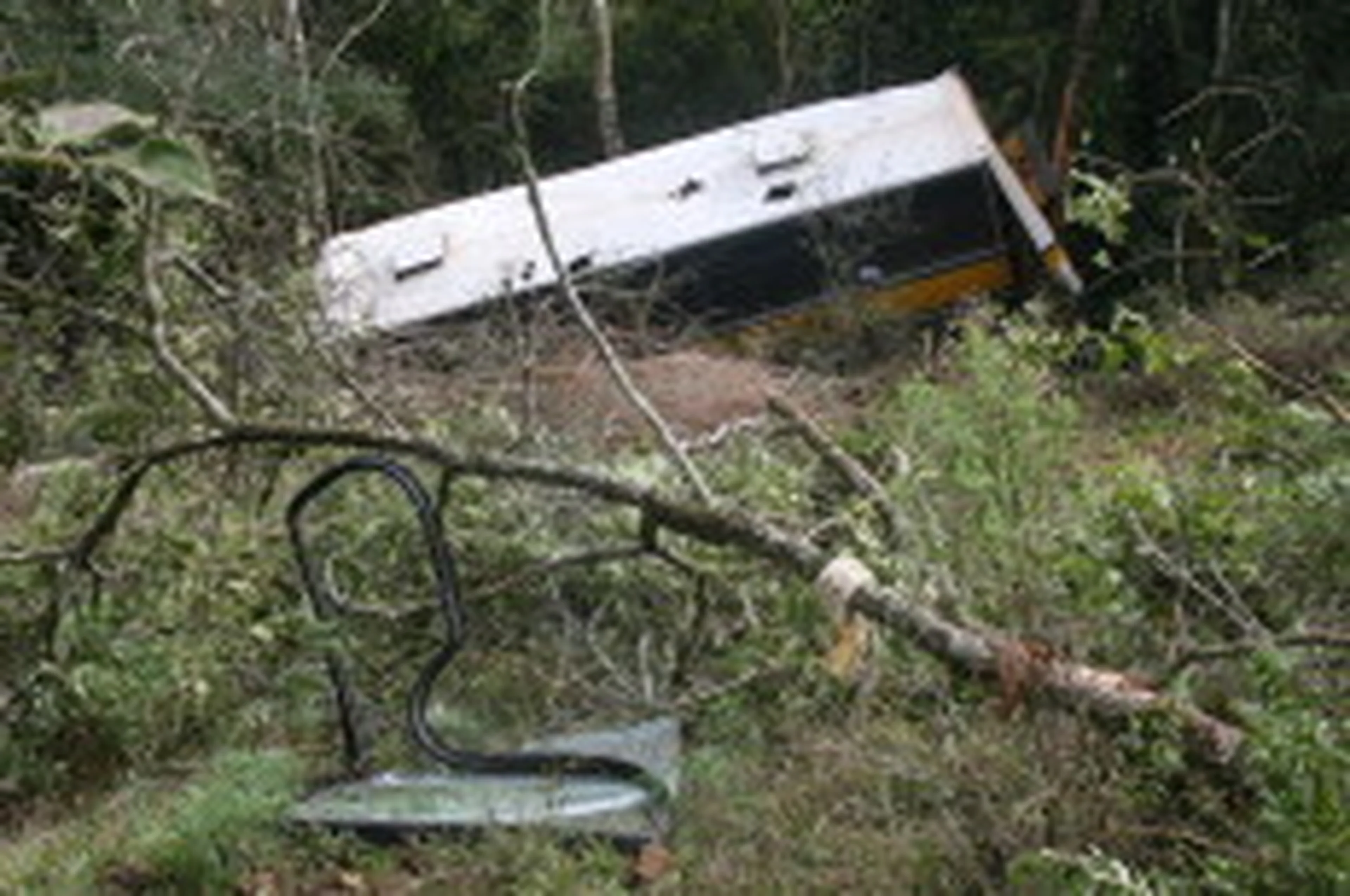 Marielise Ferreira/null