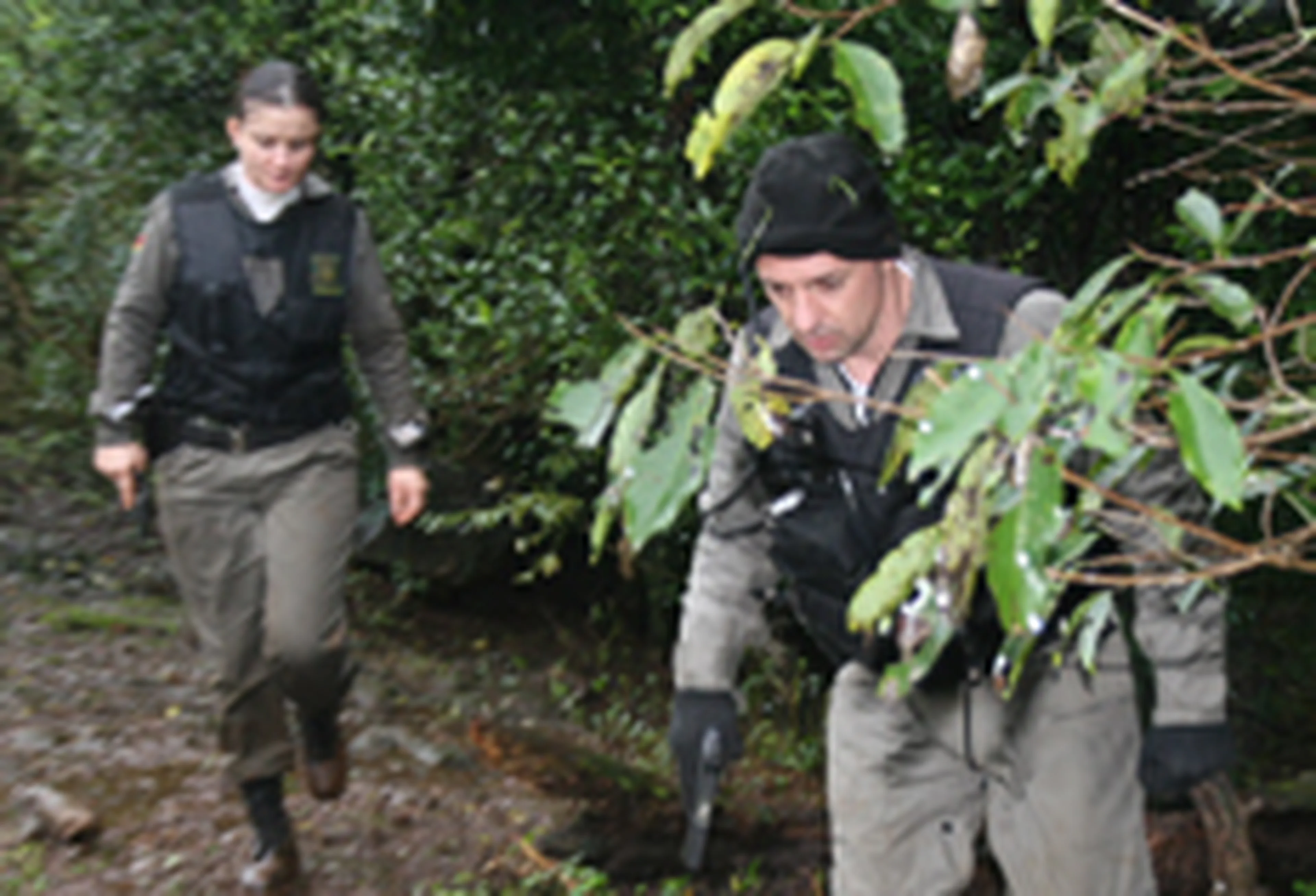 Marielise Ferreira/null