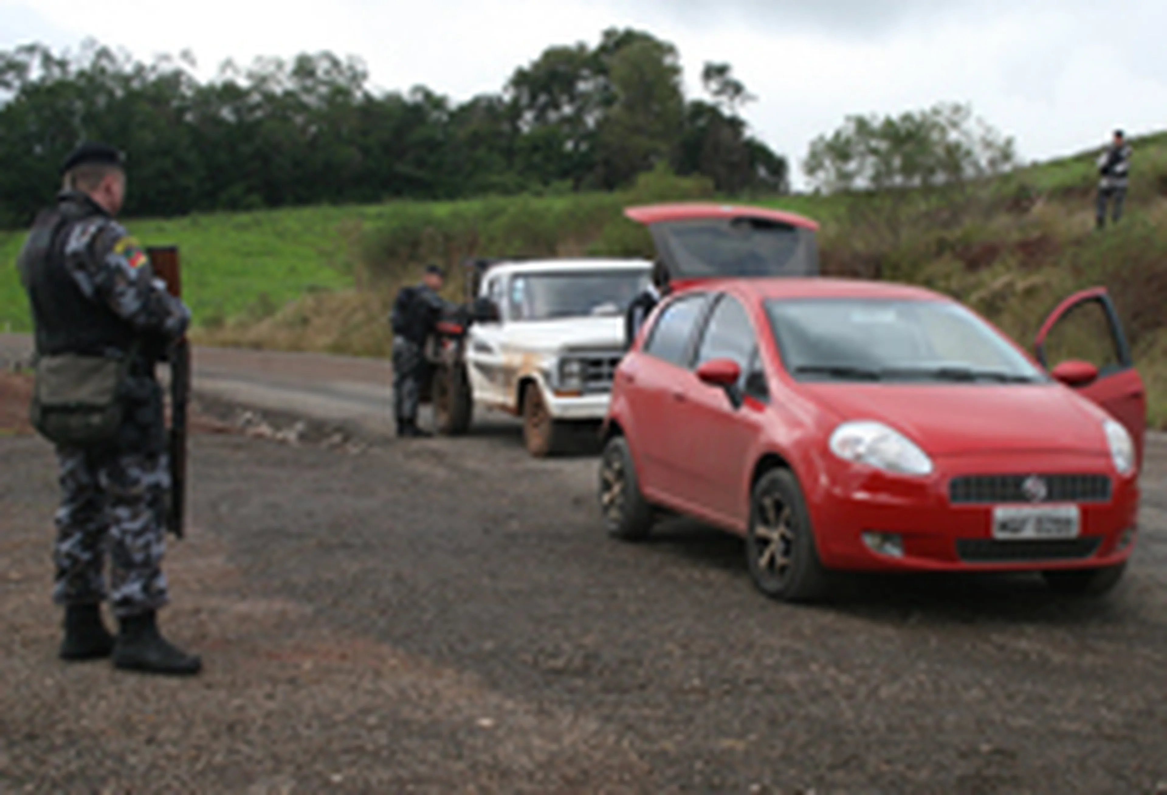 Marielise Ferreira/null