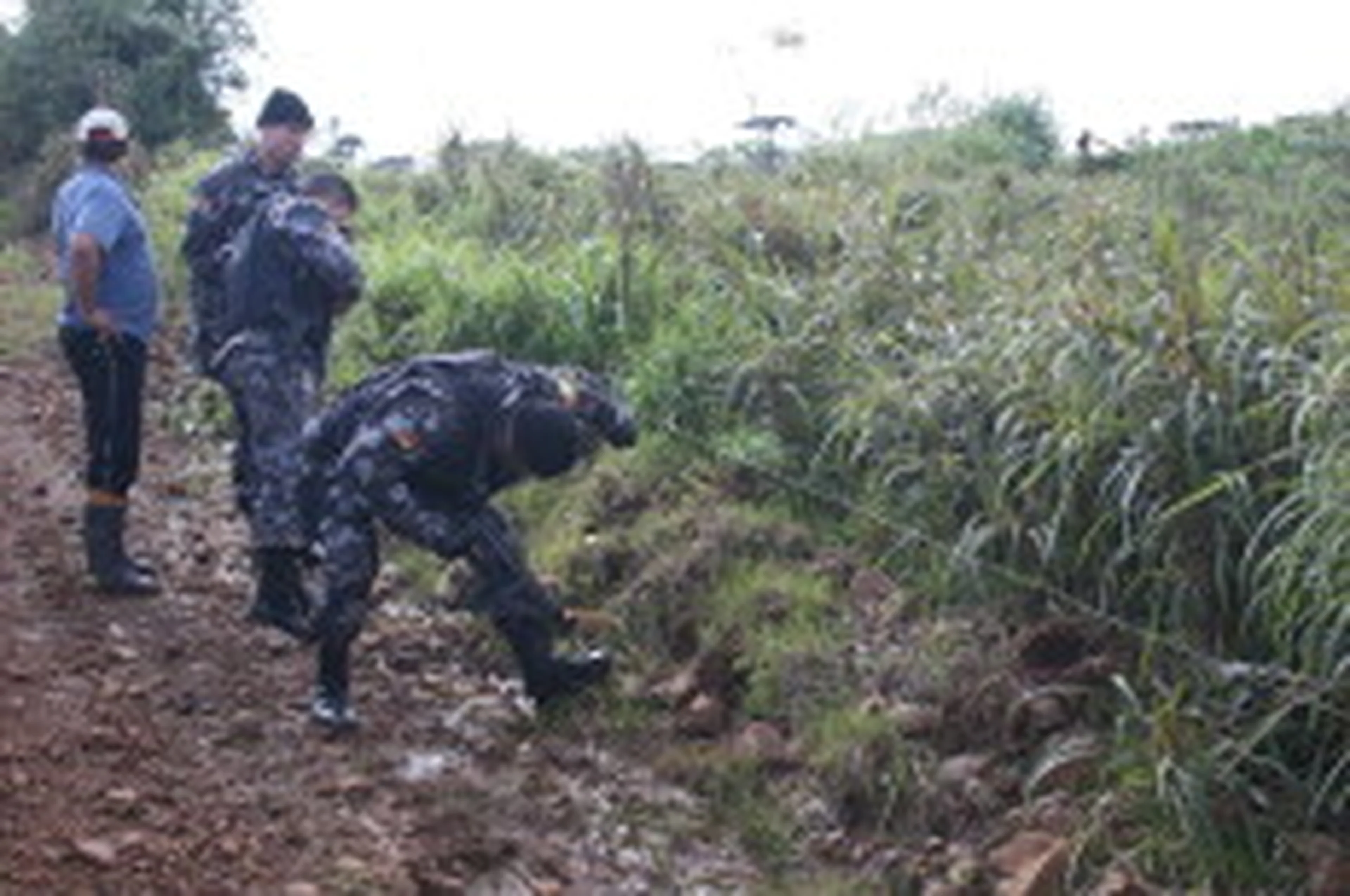 Marielise Ferreira/null