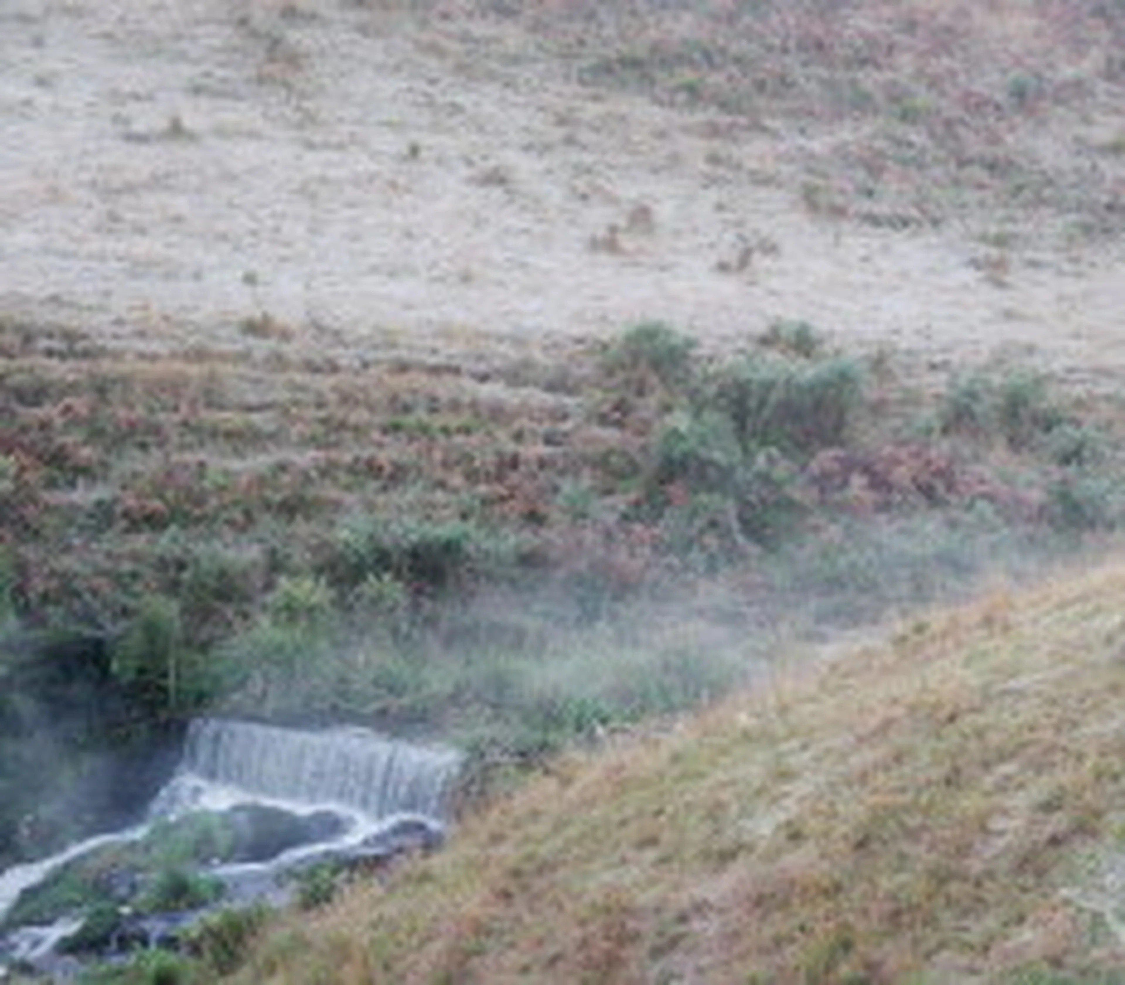 Liane Castilhos, Especial/null