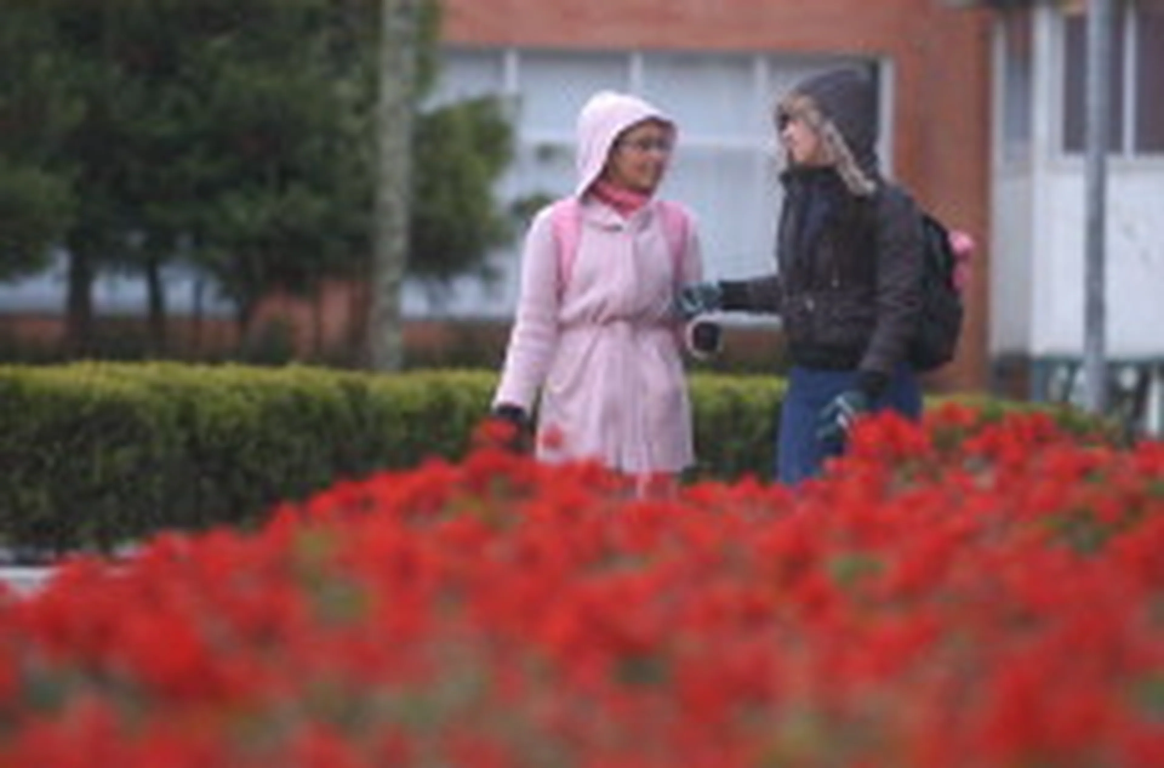 Roni Rigon/Agência RBS