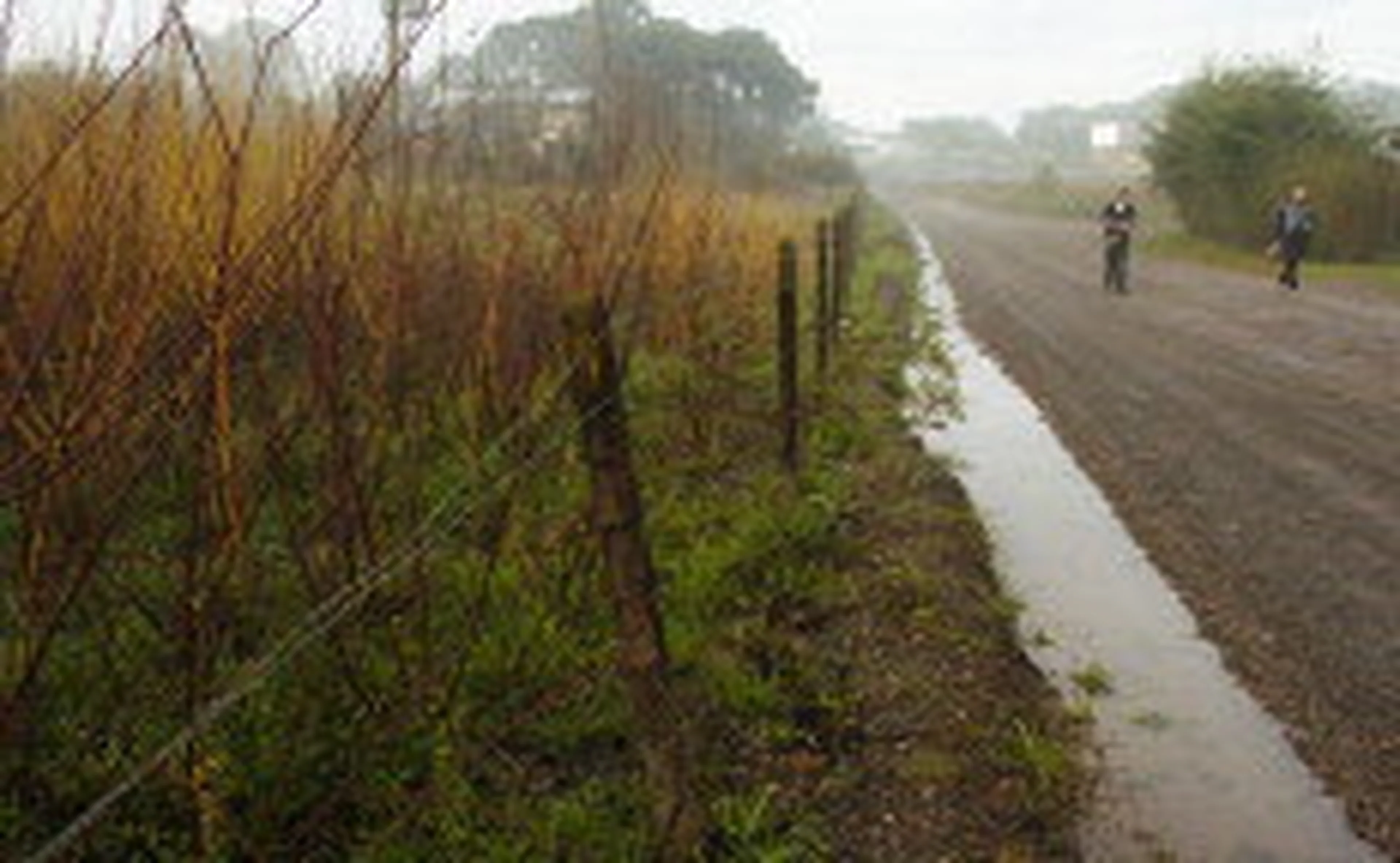 Tatiana_Cavagnolli/null