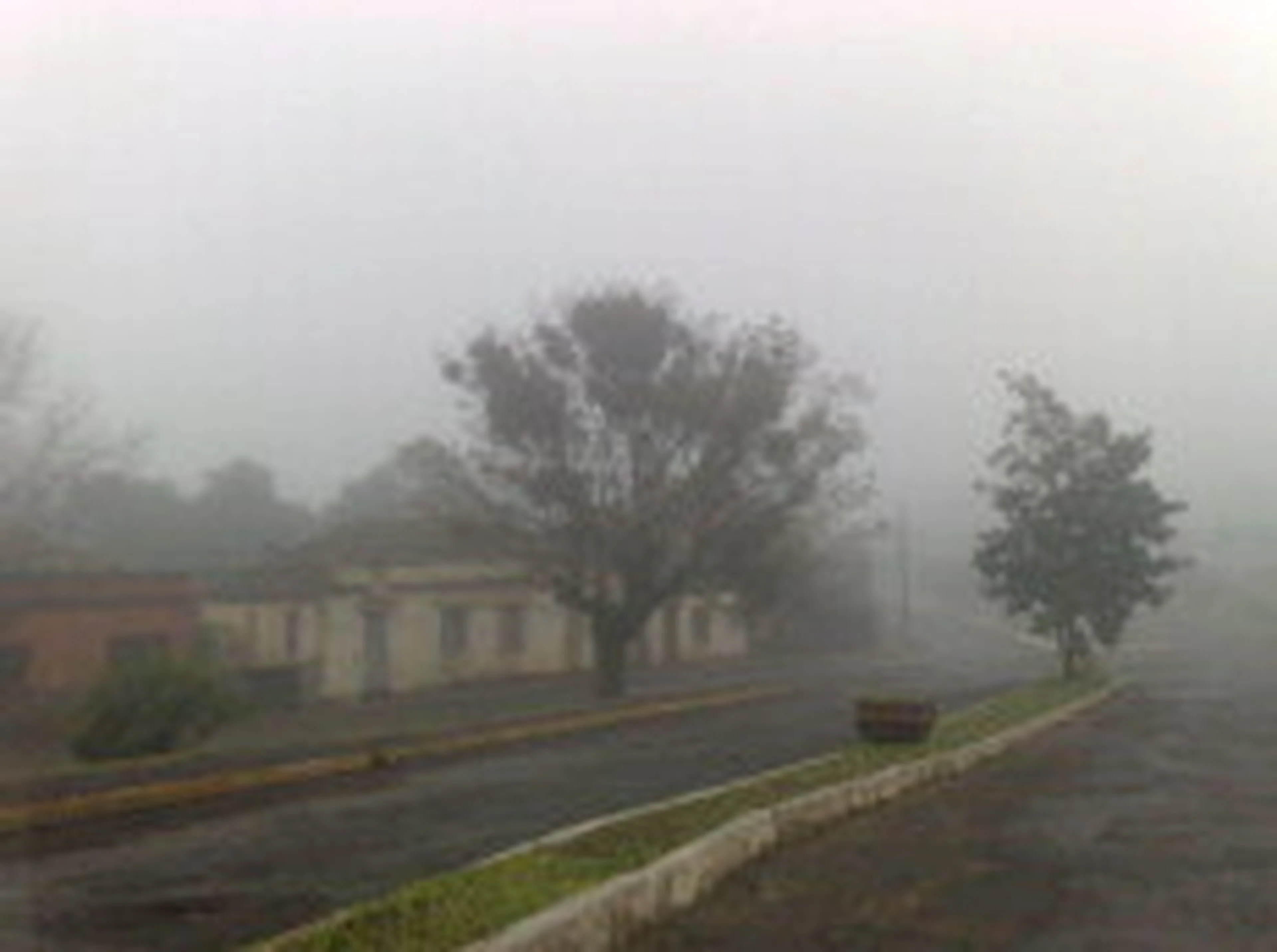 Leila Endruweit/null