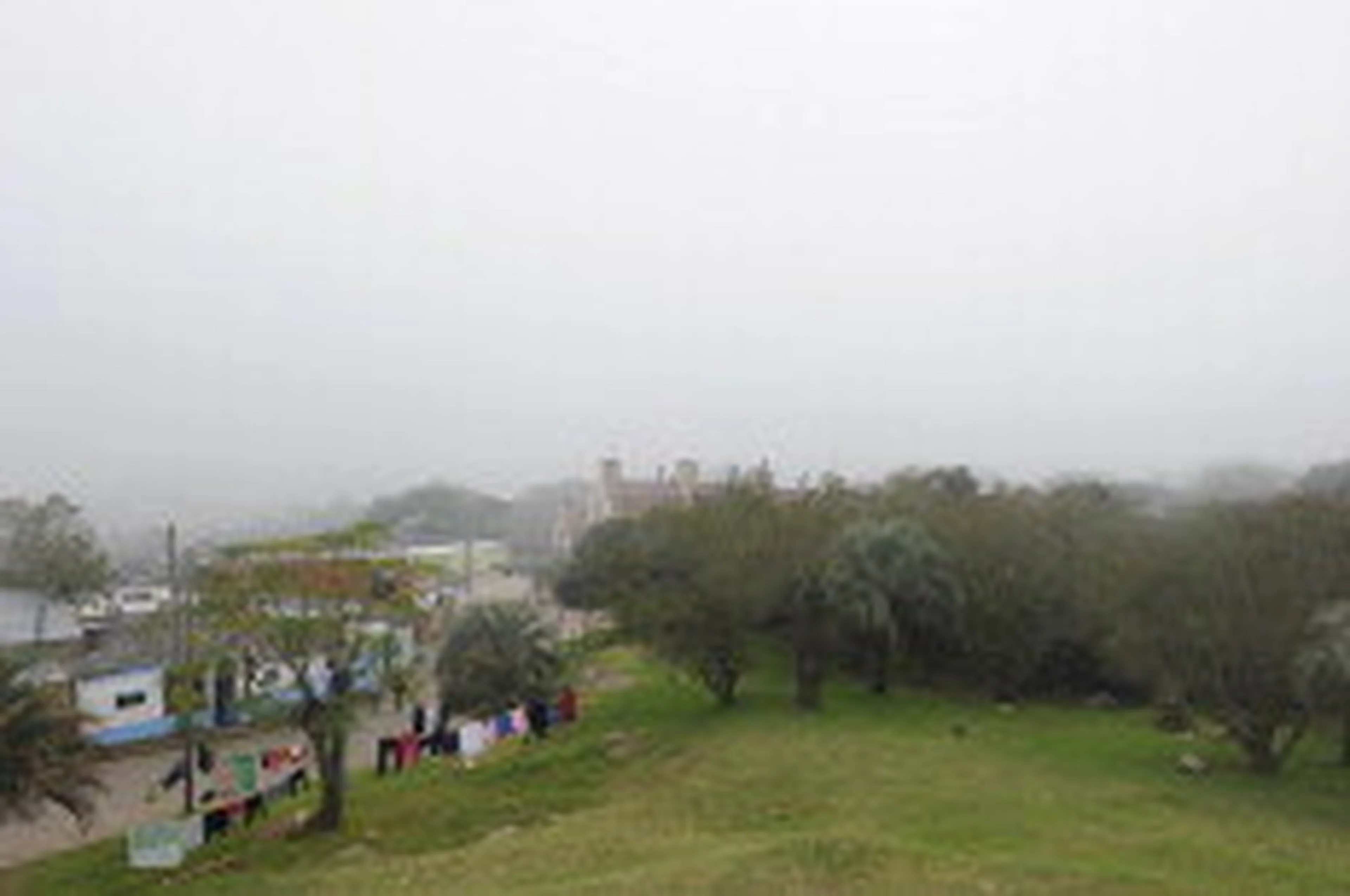 Ronaldo Bernardi/null