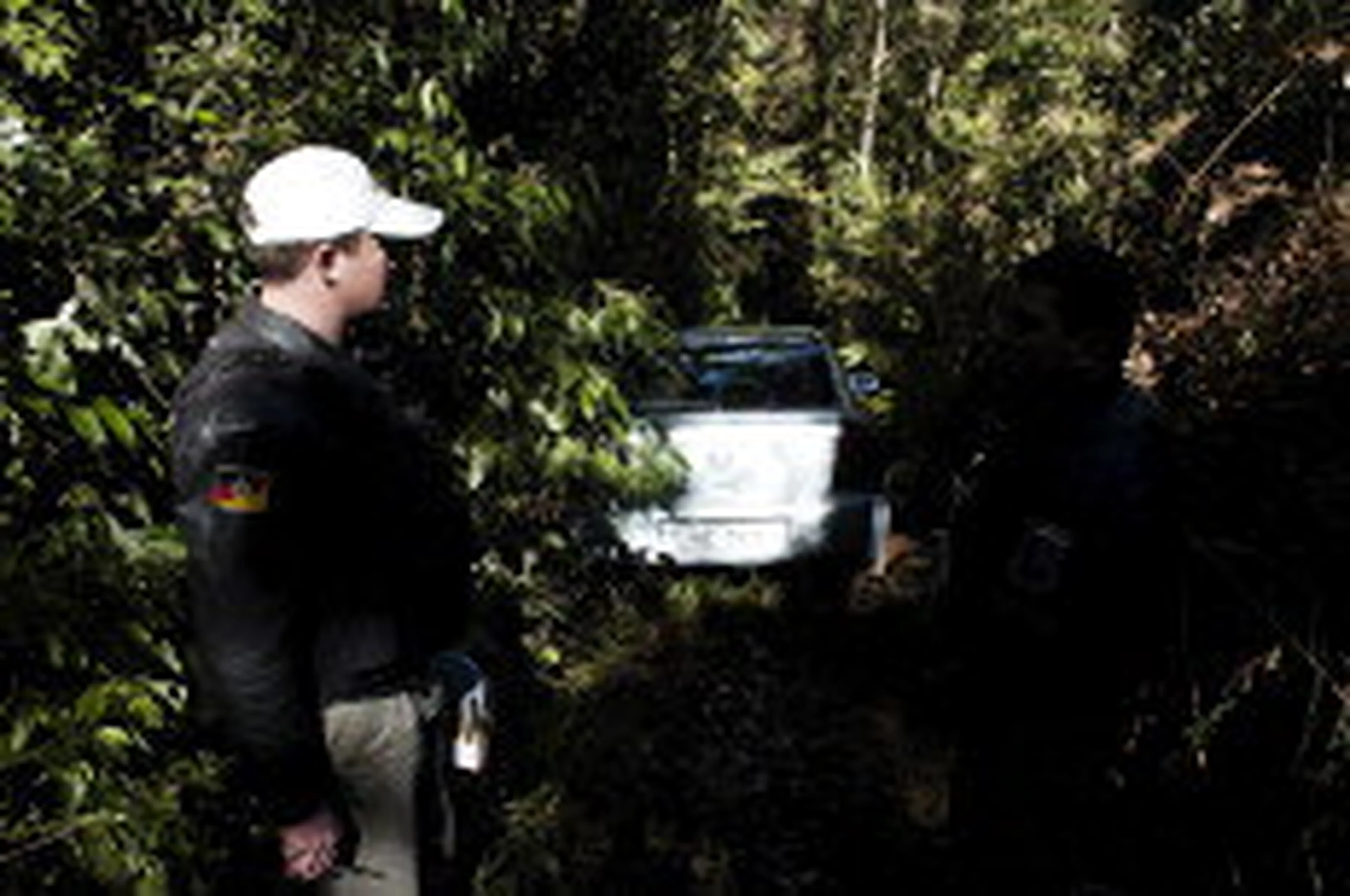 Tatiana Cavagnolli/null